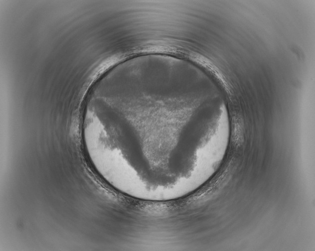X0000111640882200908281155