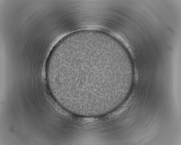 X0000111640883200908281155