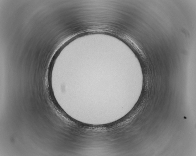 X0000111640884200908281155