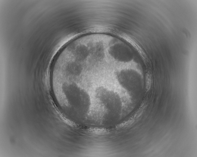 X0000111640886200908281155