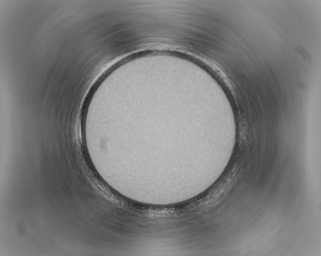 X0000111640887200908281155