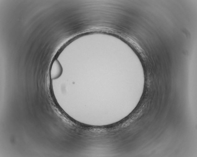 X0000111640888200908281155