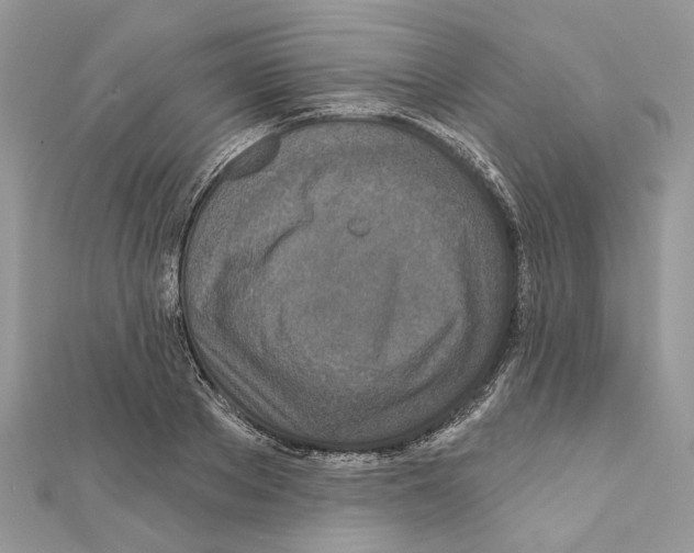 X0000111640889200908281155