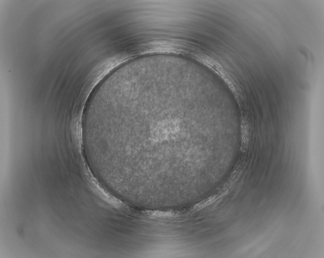 X0000111640890200908281155