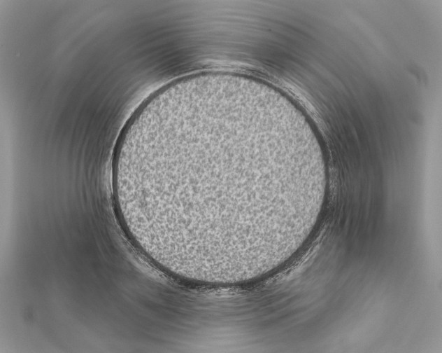 X0000111640891200908281155