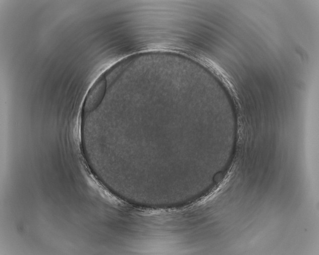 X0000111640892200908281155