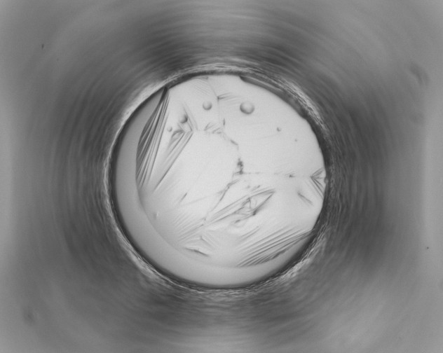 X0000111640893200908281155