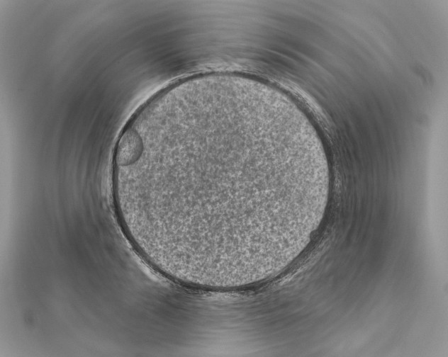 X0000111640894200908281155
