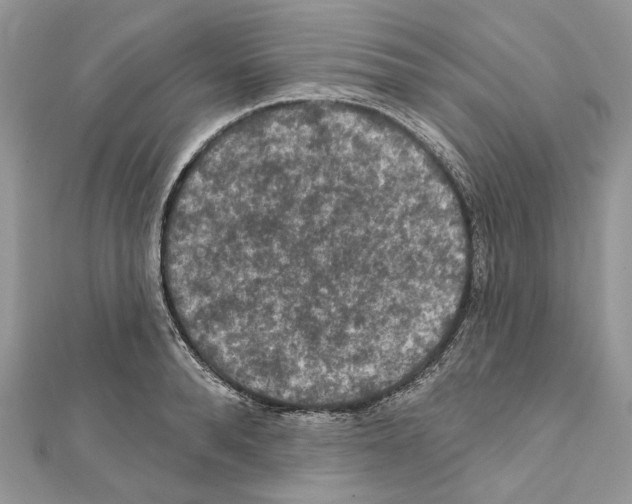 X0000111640896200908281155