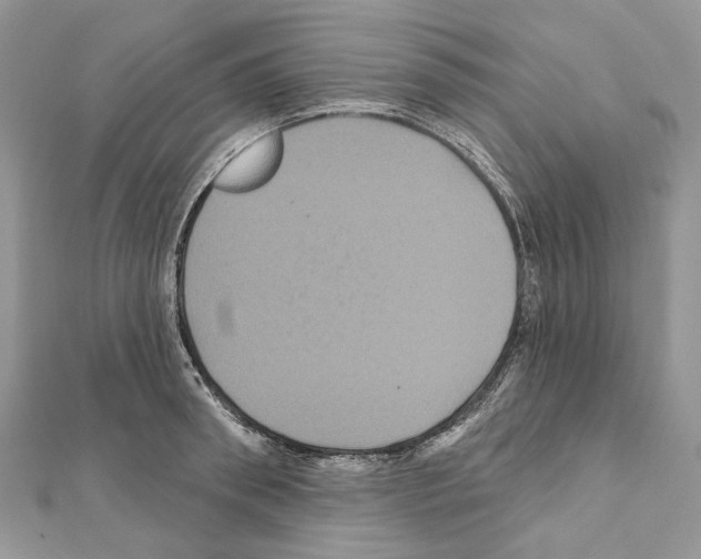 X0000111640898200908281155