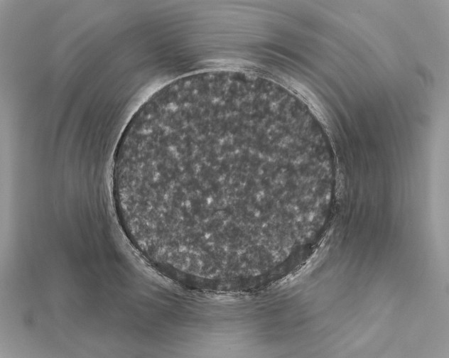 X0000111640899200908281155