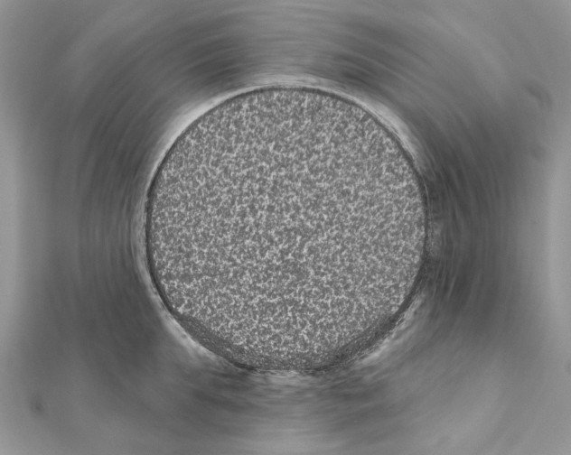 X0000111640903200908281155