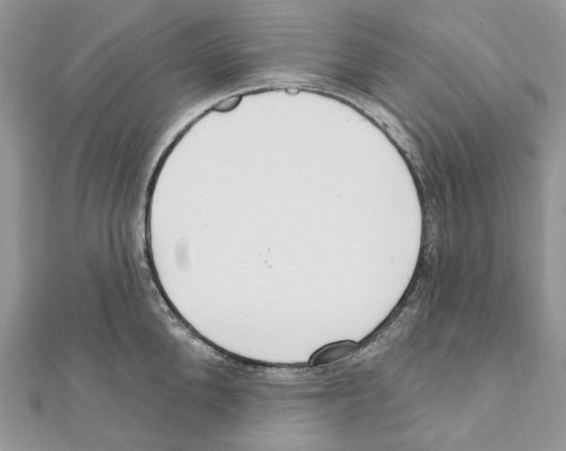 X0000111640904200908281155