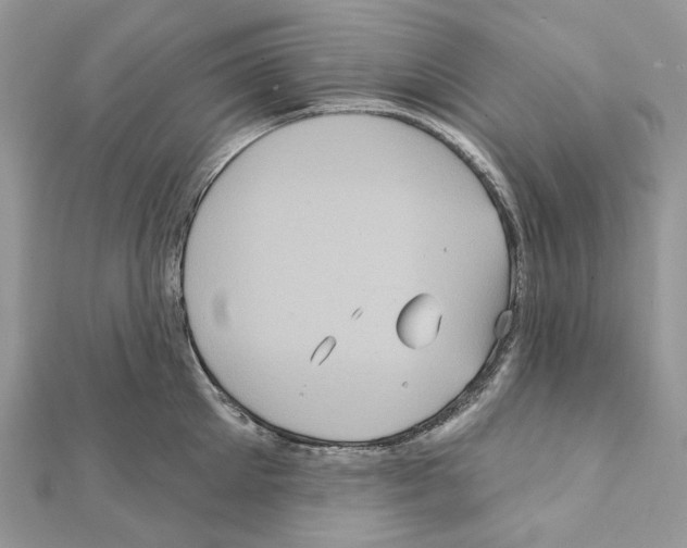X0000111640905200908281154