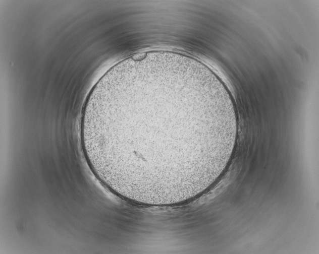 X0000111640906200908281154