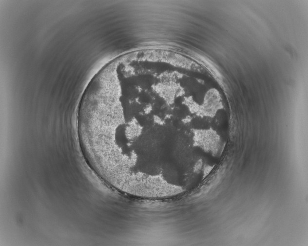 X0000111640907200908281154