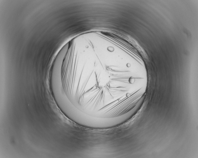 X0000111640908200908281154