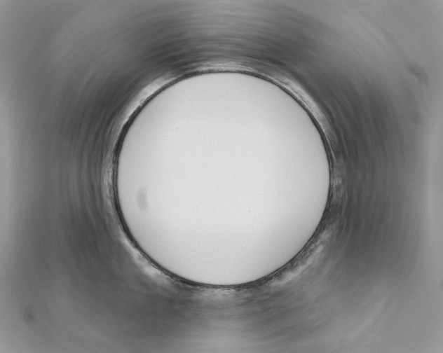 X0000111640909200908281154