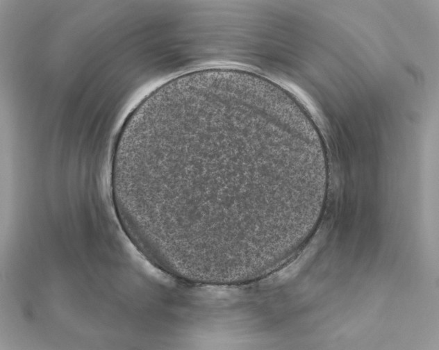 X0000111640910200908281154