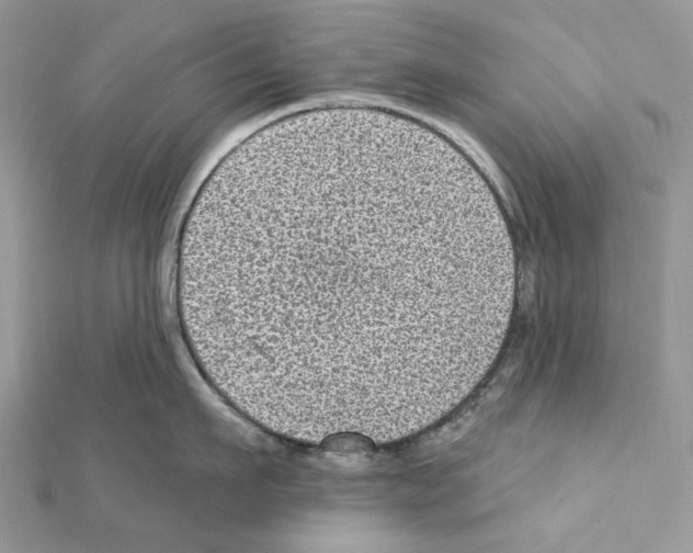 X0000111640911200908281154