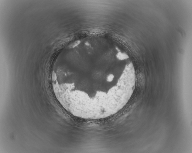 X0000111640913200908281154