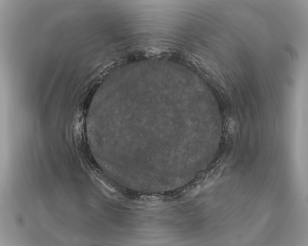 X0000111640914200908281154