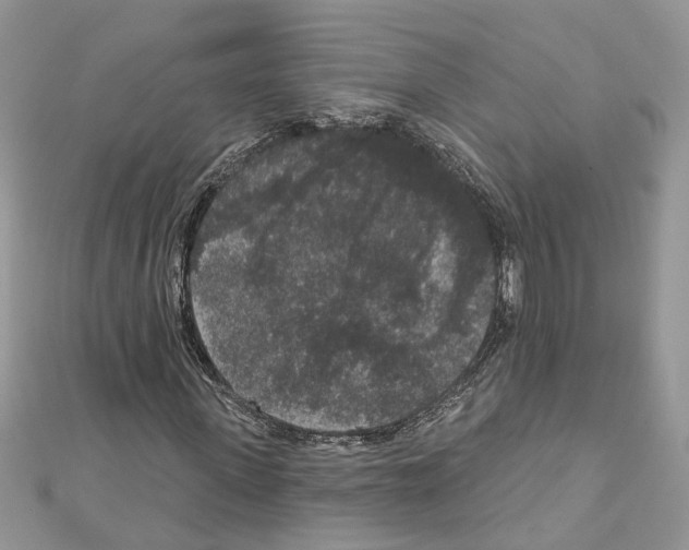 X0000111640915200908281154