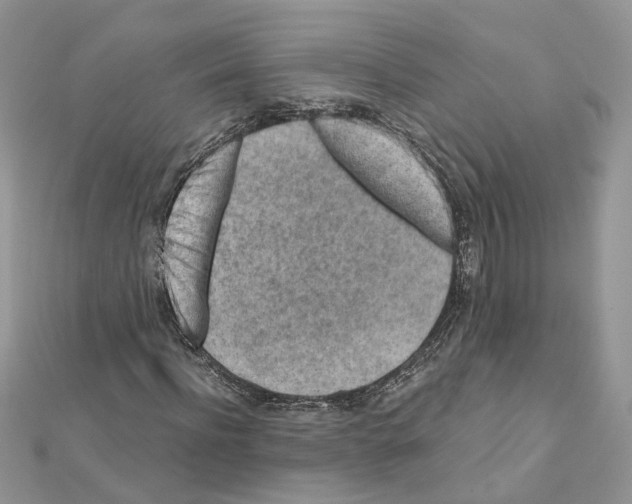 X0000111640916200908281154