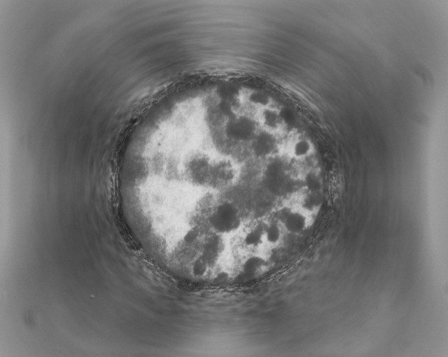 X0000111640917200908281154