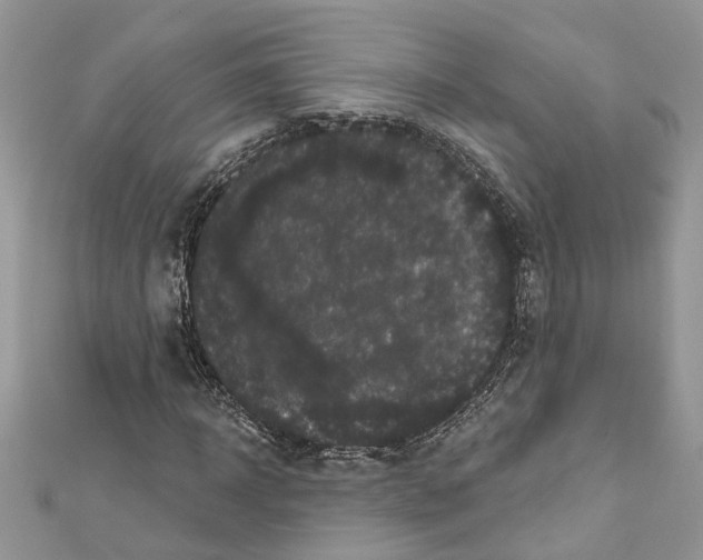 X0000111640918200908281154