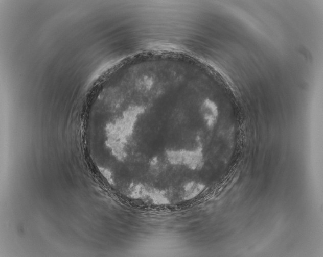 X0000111640919200908281154