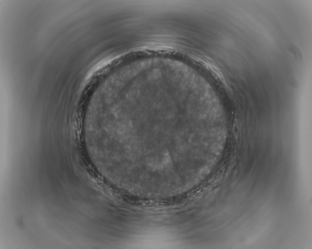 X0000111640920200908281154