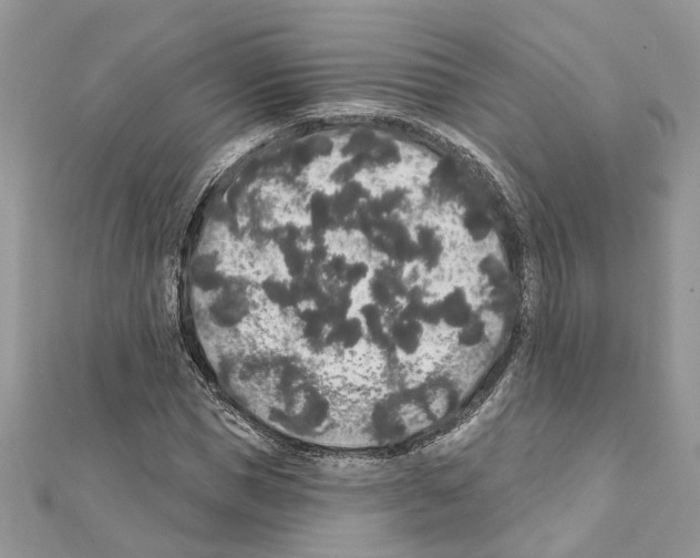 X0000111640921200908281154