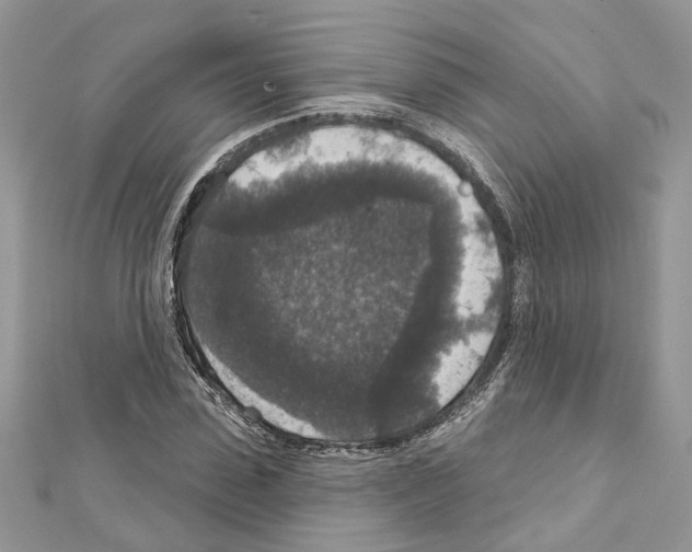 X0000111640923200908281154