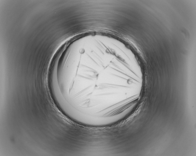 X0000111640924200908281154