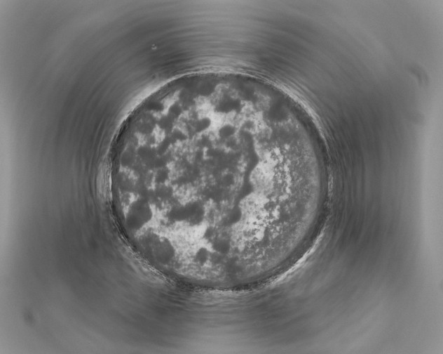 X0000111640925200908281154