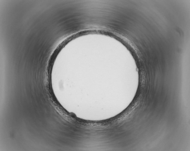 X0000111640927200908281154