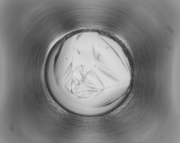 X0000111640928200908281154