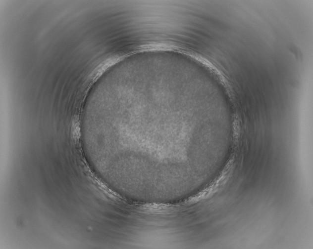 X0000111640929200908281154