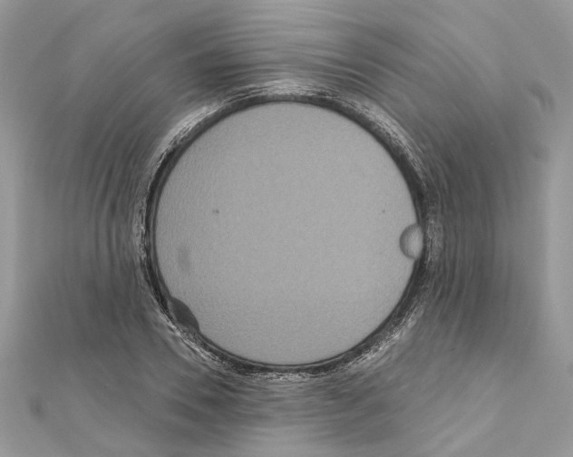 X0000111640930200908281154