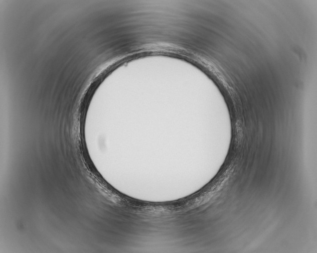 X0000111640931200908281154