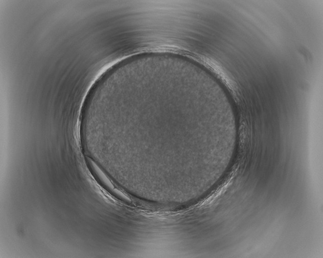 X0000111640932200908281154