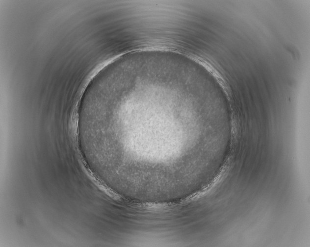 X0000111640933200908281154