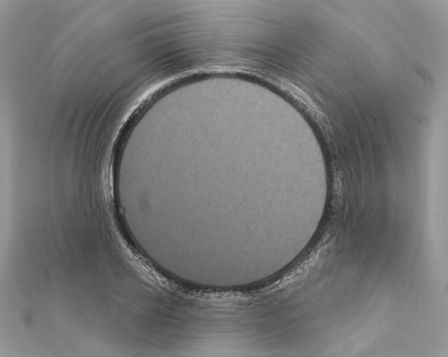 X0000111640934200908281154