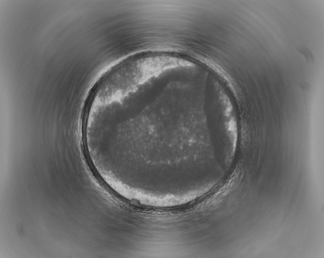 X0000111640935200908281154