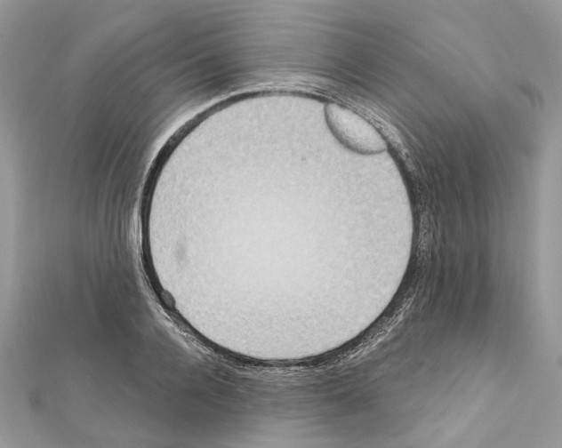 X0000111640936200908281154