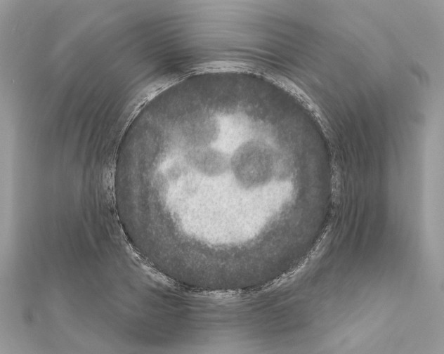 X0000111640937200908281154