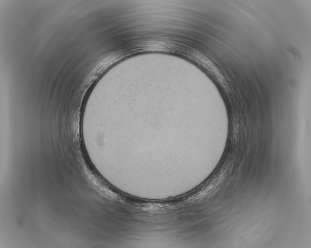 X0000111640938200908281154