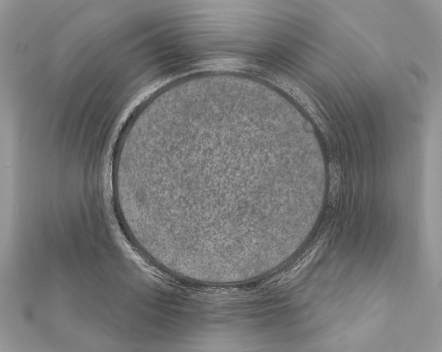 X0000111640939200908281154