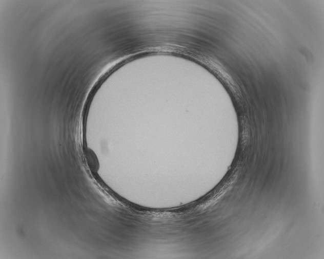 X0000111640940200908281154